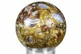 Polished Brecciated Sowbelly Agate Sphere - Colorado #369064-1